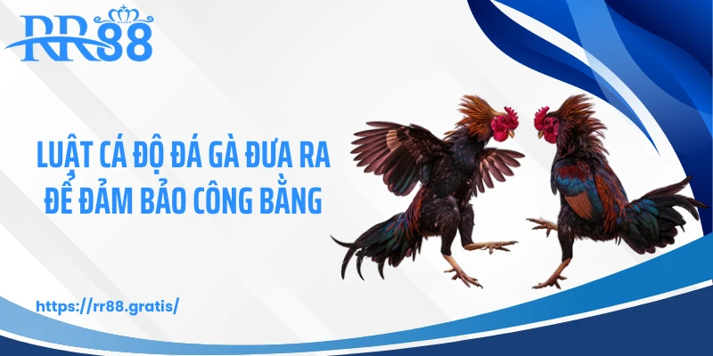 Luật cá độ đá gà đưa ra để đảm bảo công bằng